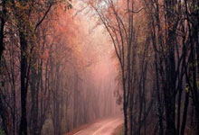 北京足協發布緊急通知，因強降雨天氣百隊杯賽事延期進行.