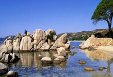 金年会jinnianhui注册:白宇打高尔夫球被偶遇 挥杆动作干净利落身材比例超好.